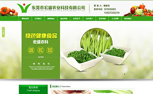 懂点网络
